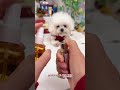 https://www.tiktok.com/view/product/1731377202143007135? #candle #candlelighter #lighter