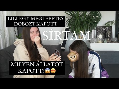 Videó: Milyen állatot Kaphat