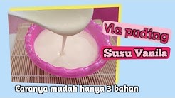 Resep vla puding susu homemade enak dan sederhana - Durasi: 3.39. 