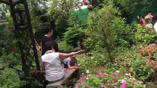 The Butterfly Place in Westford, Mass.