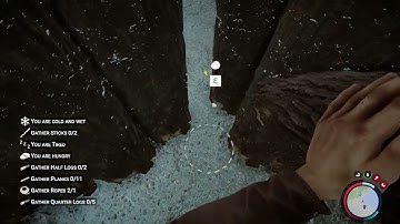 SONS OF THE FOREST WORKING LOG DUPLICATION GLITCH 2/23/2023