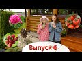 Ганичкина Life! Выпуск 6! Томаты! Пионы! Амелотекс Гель!