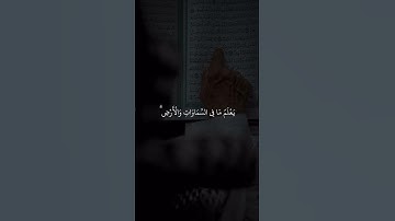 اكتب شيء تؤجر عليه ❤️😴| تلاوة  هادئة  وجميلة جدا_قران كريم _عبد الرحمن مسعد