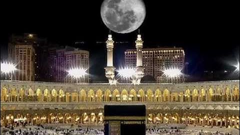 عبد المجيد مهني سورة المعارج