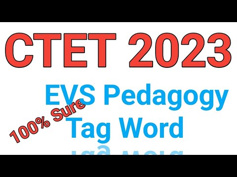 EVS Tag Word 