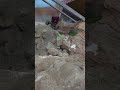 REDCAT ASCENT APEX 18!! THIS CRAWLER IS A MUST BUY!! CHECK US OUT!! SUBSCRIBE!!!