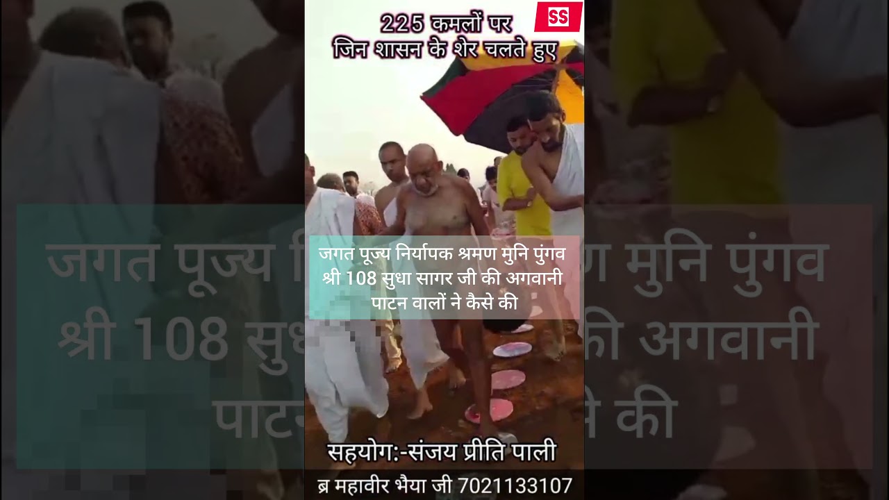 जगत पूज्य निर्यापक श्रमण मुनि पुंगव श्री 108 सुधा सागर जी की अगवानी पाटन वालों ने कैसे की🙏💯🙏