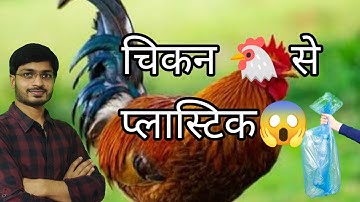 मुर्गे के पंख से प्लास्टिक / Biodegradable plastic from Chicken Feathers #plasticwaste#bioplastic