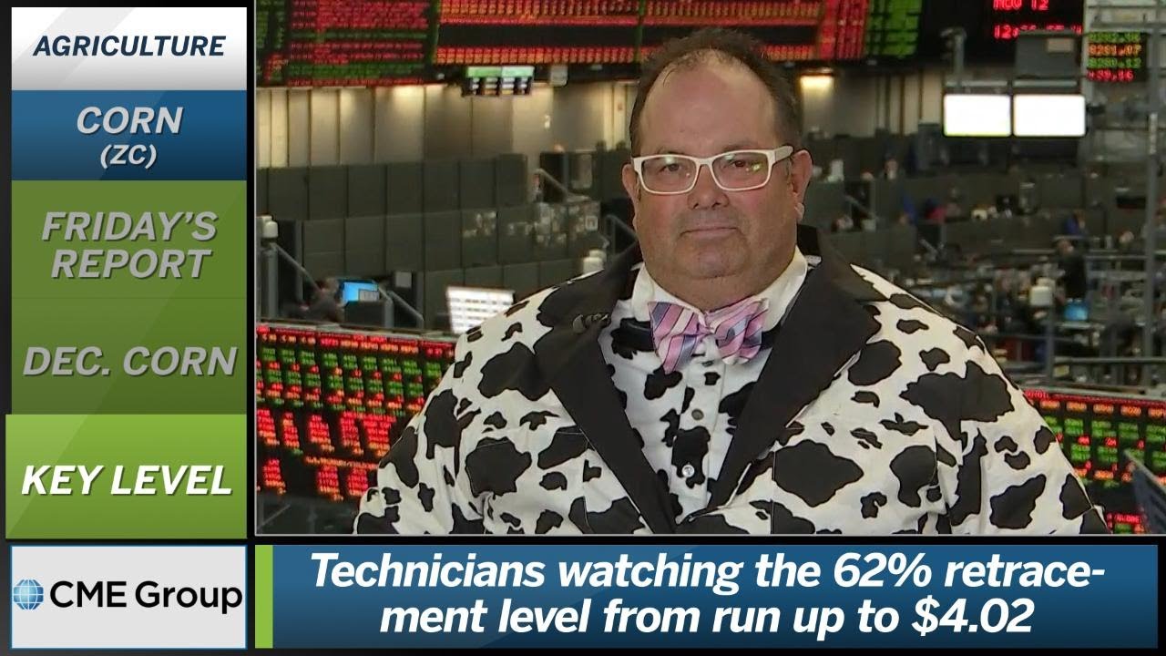 November 12 Grains Commentary: Scott Shellady - YouTube
