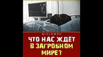 Что нас ждёт в загробном мире?
