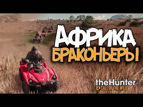 Видео: theHunter: Call of the Wild - Загонная охота - Браконьеры - Огромный настрел