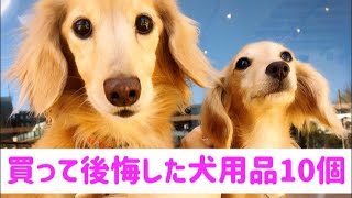 使わなかった＆買って後悔した犬用品10個　Things I Wish I Didn't Buy For My Dog