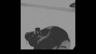 semua telah berubah status wa terbaru 2020