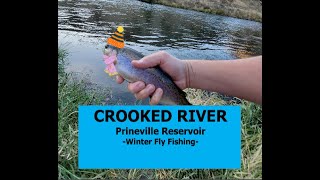Crooked River & Prineville Reservoir Fly Fishing Winter 2020 & Methods Used Central Oregon by MT 3,321 views 4 years ago 14 minutes, 43 seconds
