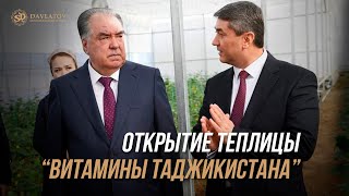 Открытие инновационной теплицы \