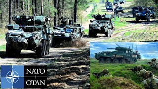 U.s. Stryker Vehicles With Thousands Of Nato Troops Entered Ukraine Forest