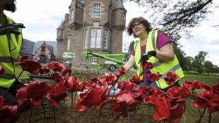 Poppies: Weeping Window at The Black Watch Castle and Museum | Timelapse video