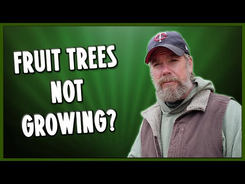 Fruit Tree Not Growing? Here's Why!