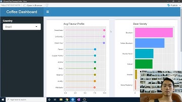 How to develop dashboards using R Shiny