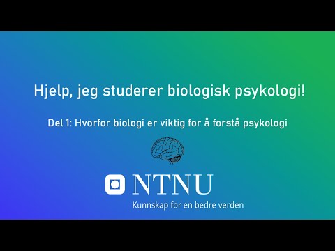 Hjelp, jeg studerer biologisk psykologi – Hvorfor biologi er viktig for å forstå psykologi