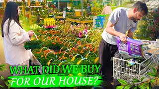 Why did I not vlog| Join me and Halee on a day out to the garden centre || Summer in Uk