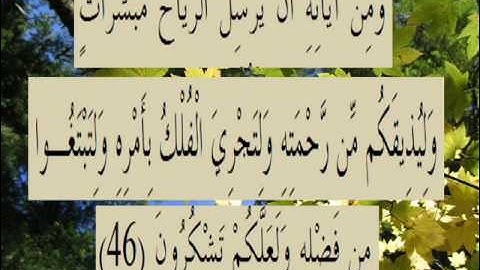 القران الكريم سورة الروم الأية 46.wmv