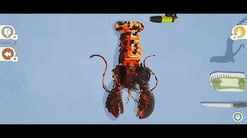 Storage Master Game | spicy crayfish | Solution/Walkthrough