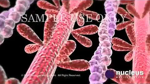 Nucleus Biotechnology Animation - MOA for Investor Relations