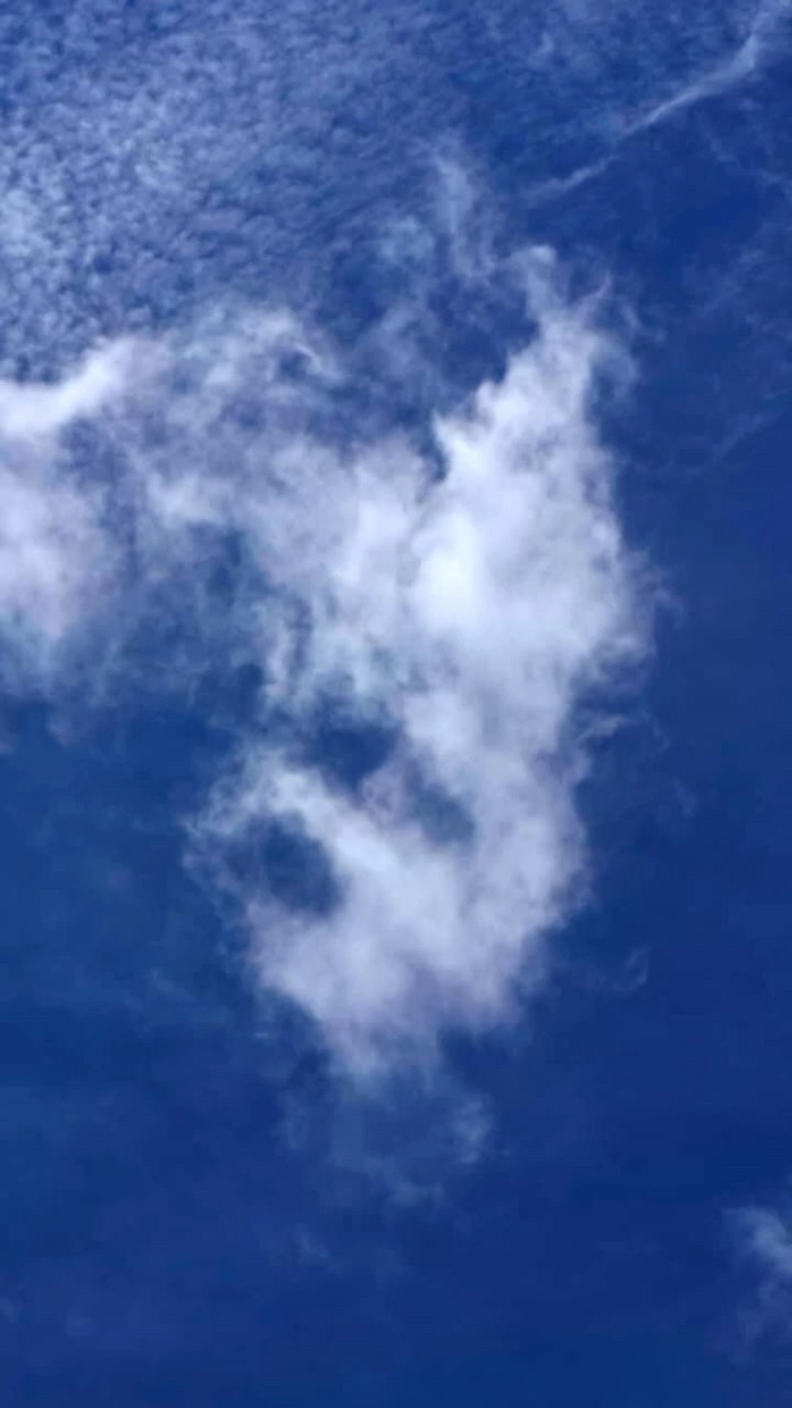 雲 一期一会 2026.07.06 #cloud - YouTube