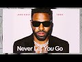 Jason Derulo X SHOUSE Never Let You Go Preview mp3