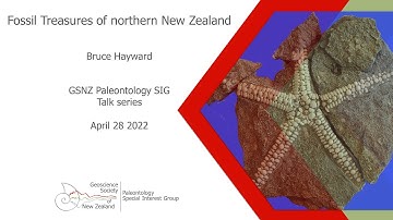 Fossil Treasures of northern New Zealand