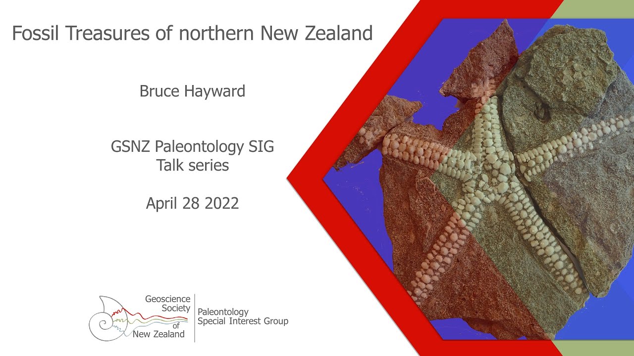 Fossil Treasures of northern New Zealand