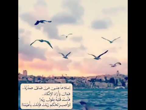 انشوده اذا المرء لم يرضى بما ربه وهب 