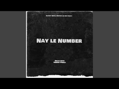 Sgija keys & TriggaPablo - Nay le Number (feat. Blaqboy Musiq, M00tion & Mr Ternity)