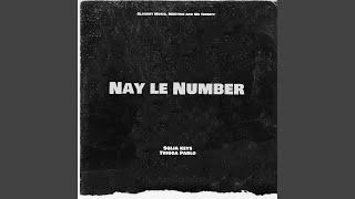 Nay le Number (feat. Blaqboy Musiq, M00tion & Mr Ternity) - Sgija keys and TriggaPablo