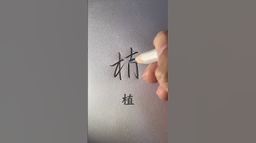 How to write Chinese Character 准梅查美张植成此 #chinesewriting #chinesecharacterwriting #mandarin #shorts