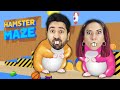 SIMULADOR DE HAMSTER no Hamster Maze