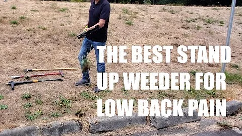 The Best Stand Up Weeders to Avoid Low Back Pain