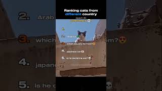 Cats from different country part 3 #ranking #funny #cats #shorts