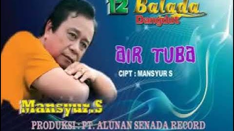 MANSYUR S - AIR TUBA no vocal karaoke