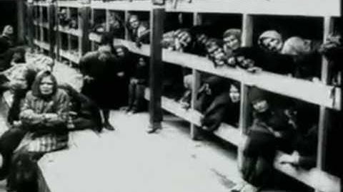 映画　Earthlings [アースリングス]　日本語字幕 １/１３ プロローグ