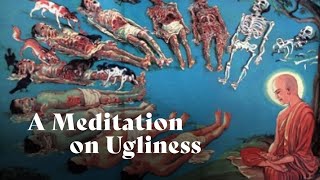 A Meditation on Ugliness | Ajahn Amaro