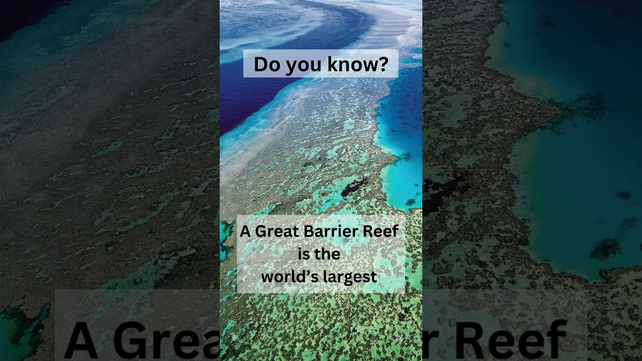 Exploring the Wonders of the Great Barrier Reef 