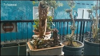 Cara membuat // tebing bonsai air terjun mini // bonsai rock waterwall how to make