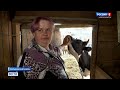Новосибирские семьи получают поддержку по соцконтракту