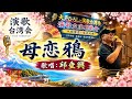 母恋鴉∣台湾の演歌ファンが歌ってみました∣演歌台湾会