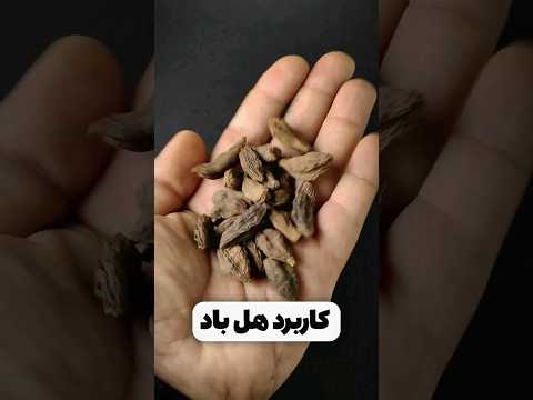 هل باد یا هل سیاه ادویه دودی عالی هل هل سیاه هل سبز 