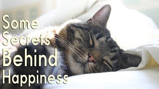 10 Ways To Live a Happier Life According To Animals