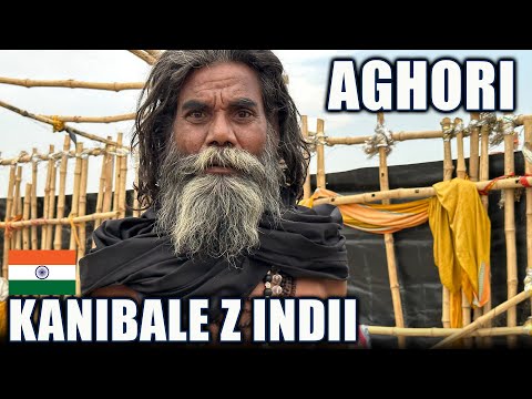 Wideo: 7 Popularne cele podróży w Indiach