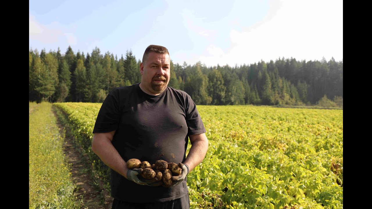 Pekka Männistön perunatila